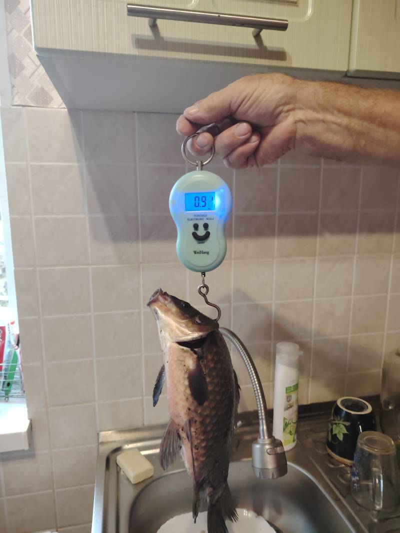 Фотоотчет рыбалки - Светлогорск