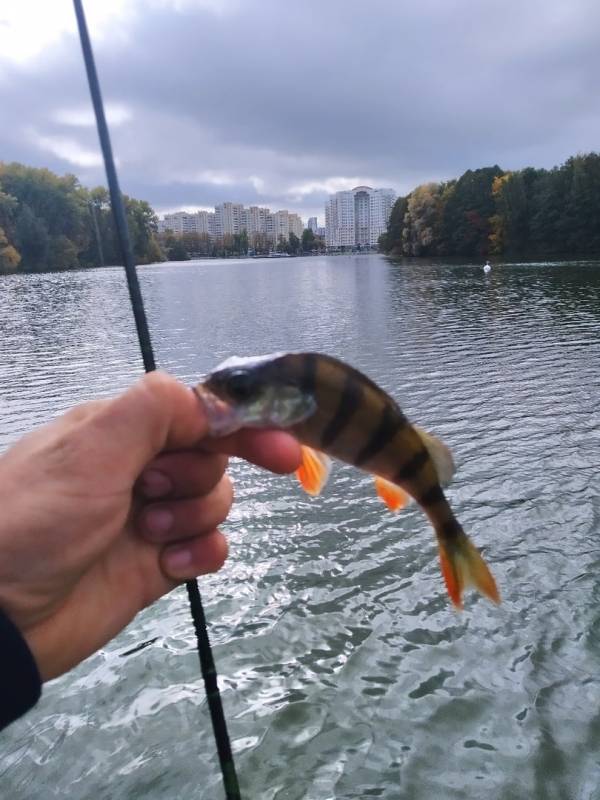 Фотоотчет с рыбалки. Место: Минск