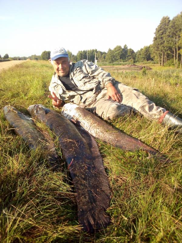 Фотоотчет по рыбе: Сом. Место рыбалки: Минск