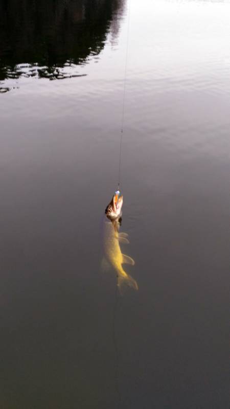 Фотоотчет с рыбалки. Место: озеро Беляшка