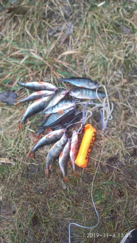 Фотоотчет с рыбалки. Место: Беларусь