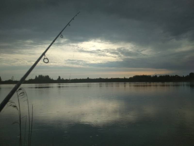 Фотоотчет с рыбалки. Место: Оршанский район