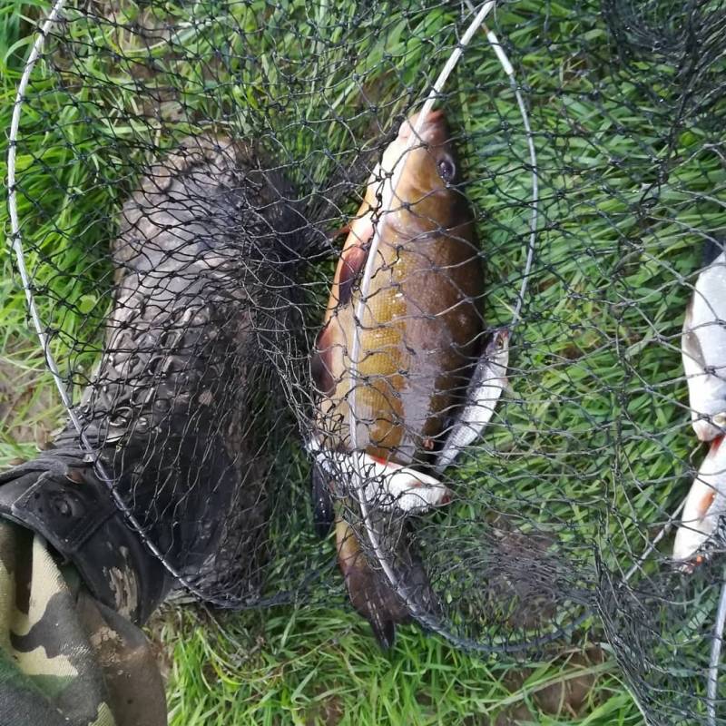Фотоотчет с рыбалки. Место: озеро Лосвидо
