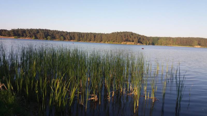 Фотоотчет с рыбалки. Место: Ласосна