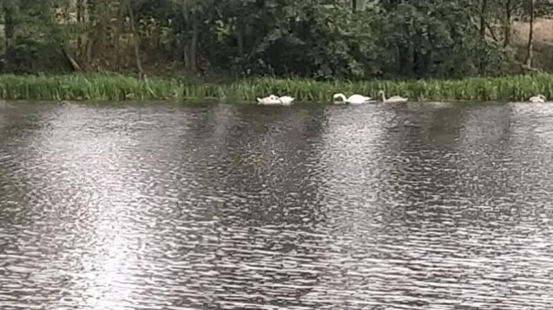 Фотоотчет с рыбалки. Место: Домачево