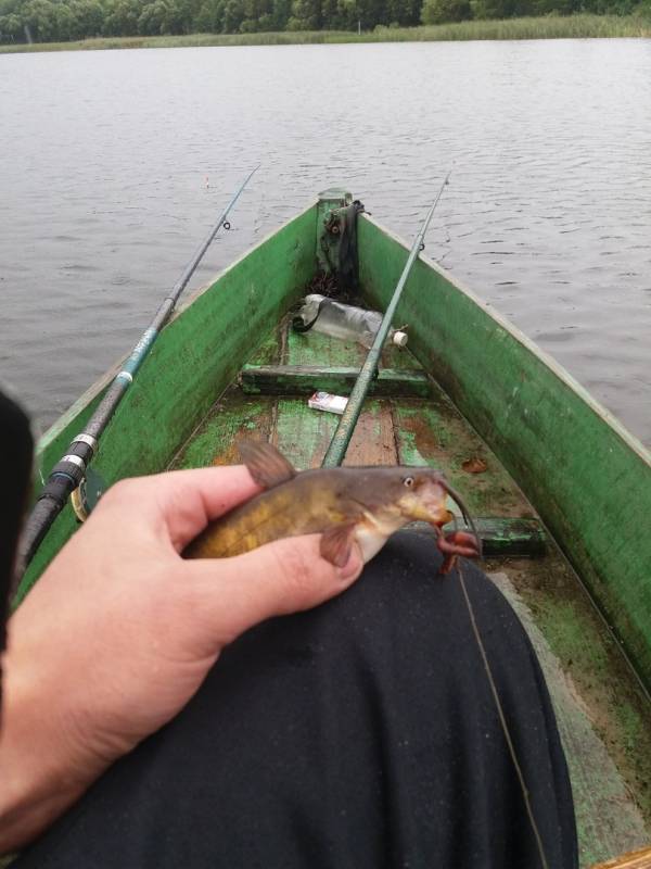 Фотоотчет по рыбе: Линь. Место рыбалки: Пинск