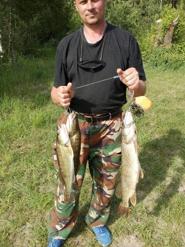 Фотоотчет по рыбе: Щука, Судак. Место рыбалки: Солигорск