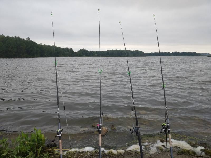 Фотоотчет с рыбалки. Место: Светиловское озеро