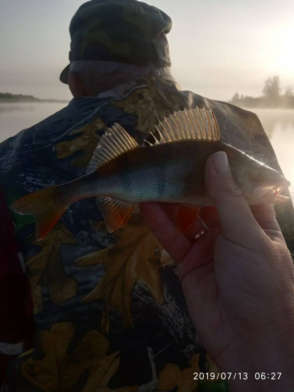 Фотоотчет по рыбе: Окунь. Место рыбалки: Солигорск