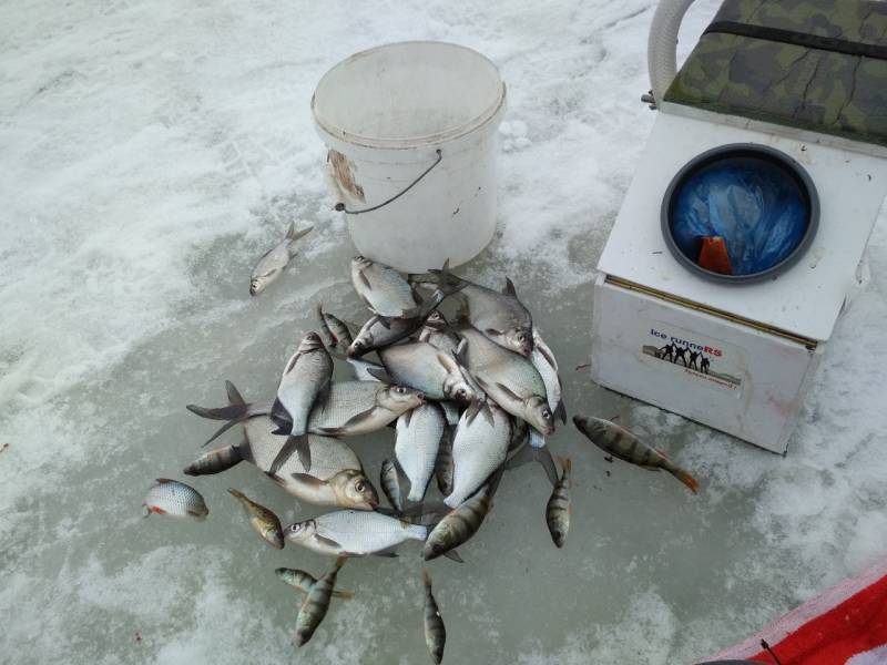 Фотоотчет с рыбалки. Место: Солигорск