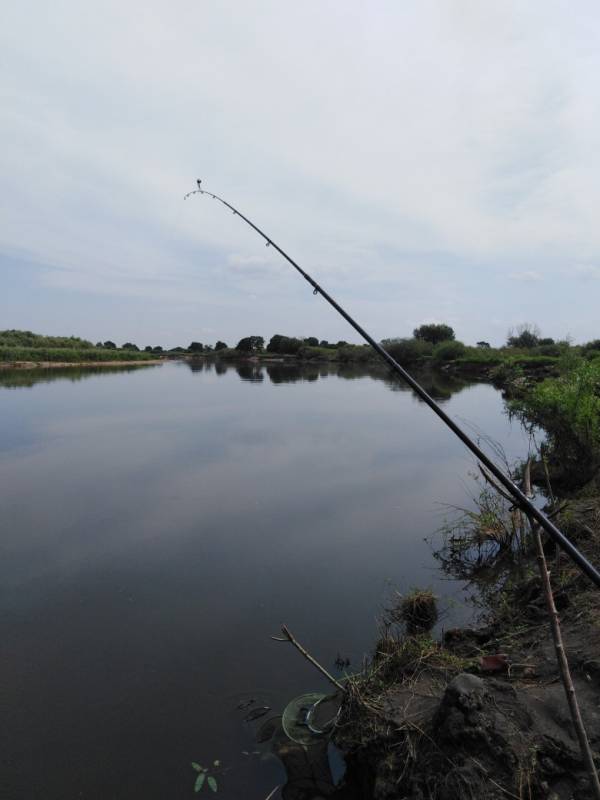 Фотоотчет с рыбалки. Место: Красная Слобода