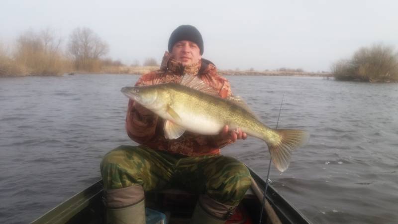 Фотоотчет по рыбе: Судак. Место рыбалки: Солигорск